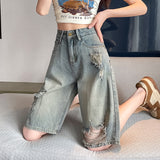 Cement Gray Hole Five-Point Jeans Women 2026 Summer Thin Loose Pear-Shaped Trousers Nostalgic 5 Points Shorts