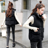 2025 Autumn And Winter Short Down Cotton Vest Women's Korean Version Of Loose Coat Vest Horse Clip Tide In Wind