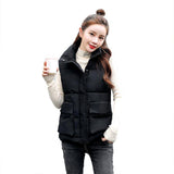 2025 Autumn And Winter Short Down Cotton Vest Women's Korean Version Of Loose Coat Vest Horse Clip Tide In Wind