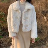 2025 New Imitation Fur Horned Fur Buckle Fur One Short Coat Women Autumn And Winter Cotton Loose Plush